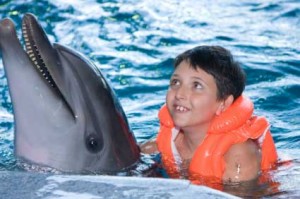 Dolphin Aid Spende Neuen Mut gewinnen mit Delfinen, dolphin aid machts möglich (Foto: istockphoto/Pumba1)