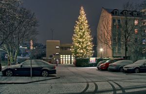 Der 20 Meter Weihnachtsbaum der FF Sendling in seiner ganzen Pracht (Foto: Horst Reinelt)