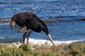 Mit dieser Taktik kommt man nicht weit (Foto: istockphoto / Richmatts)