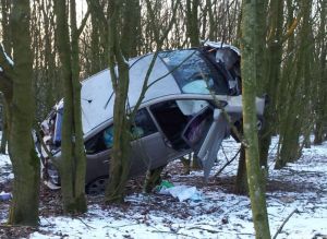 Hund Verkehrsunfall Feuerwehr