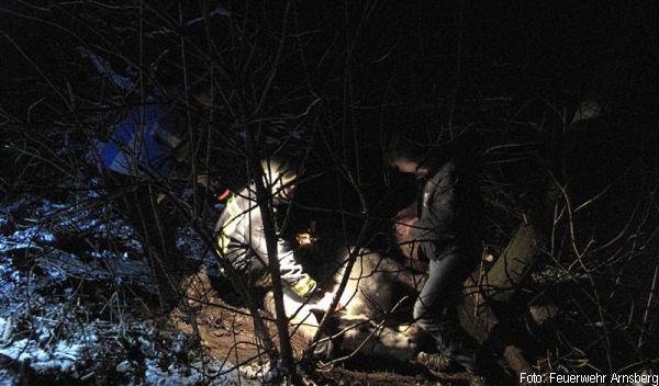 Feuerwehr Tierrettung