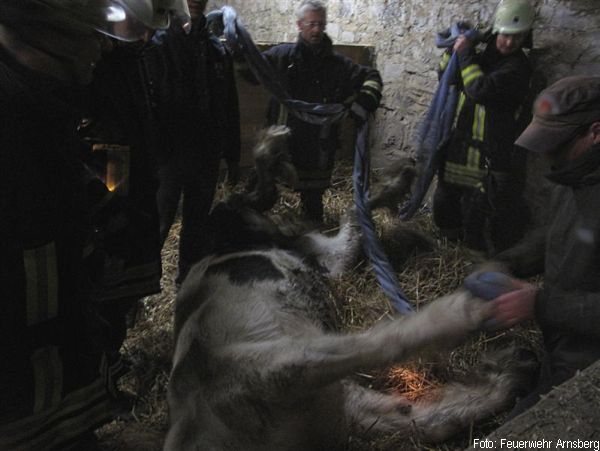 Feuerwehr Tierrettung