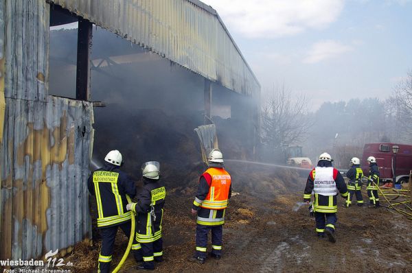 Brand Reitstall