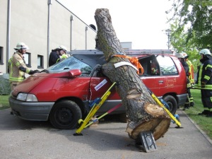 rescue-days-2014-3