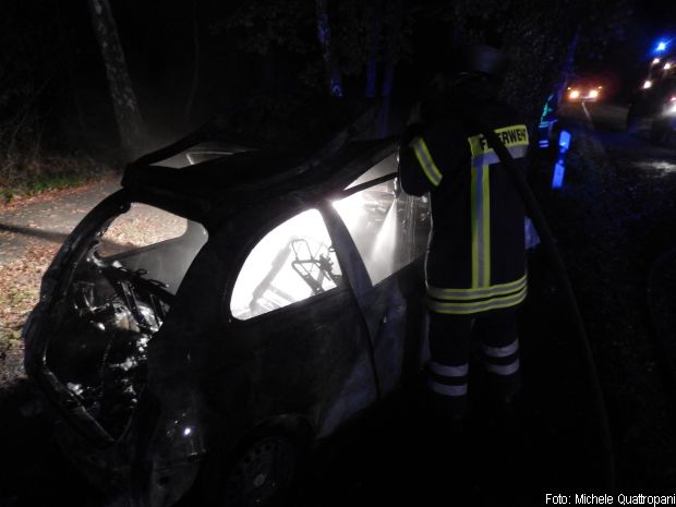 Wildunfall tödlich Brand
