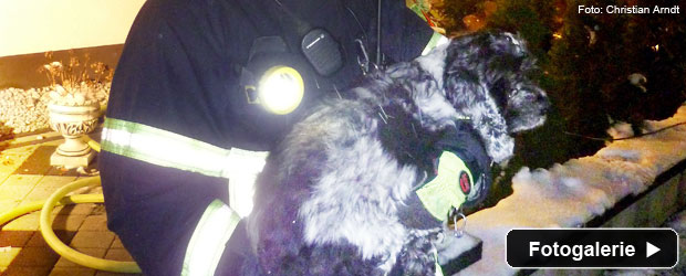 brand-tierrettung-feuerwehr-teaser