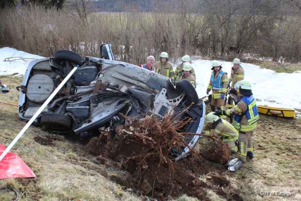 Unfall Baum 